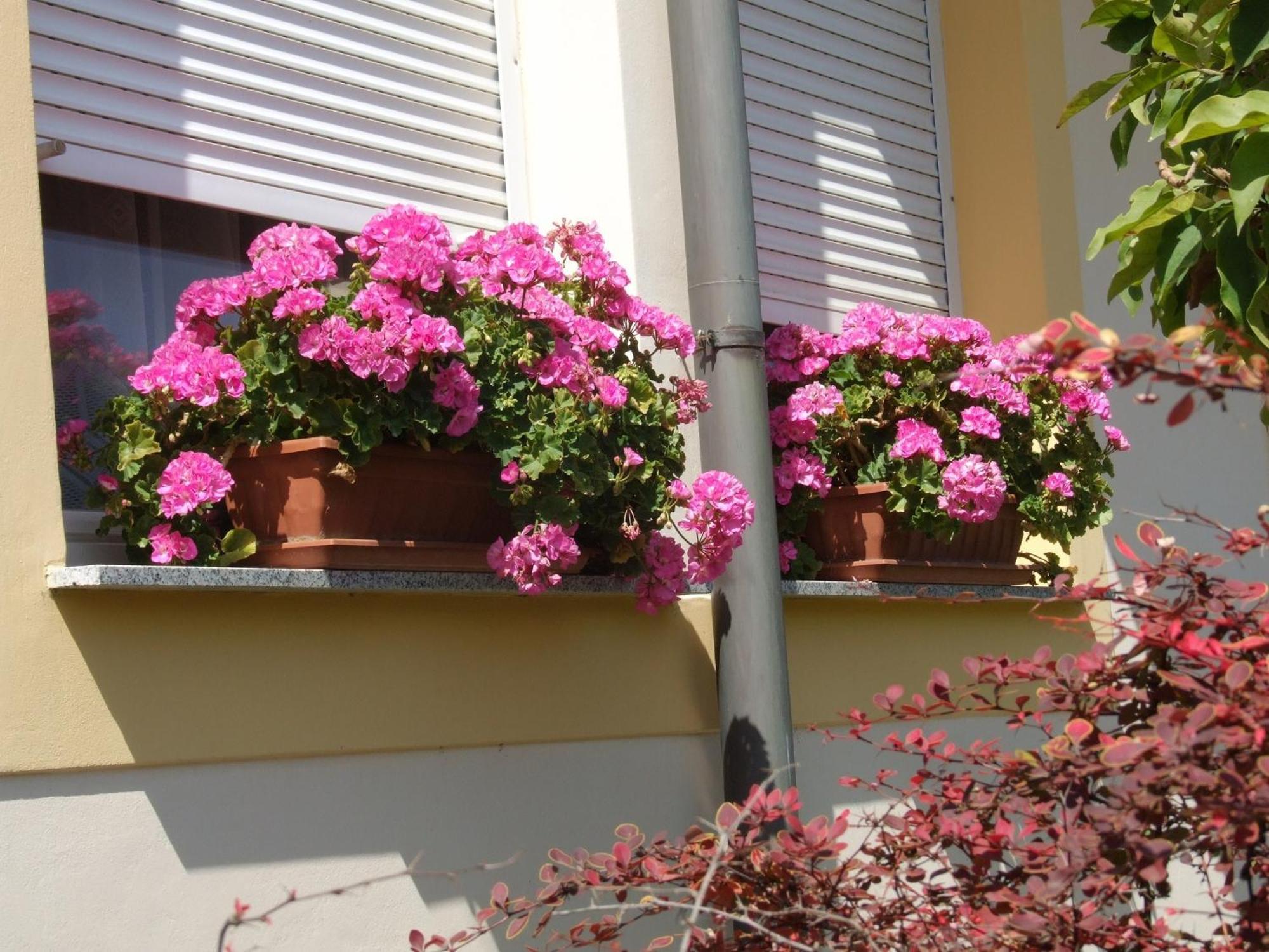 Apartment Revesz Harkany Luaran gambar